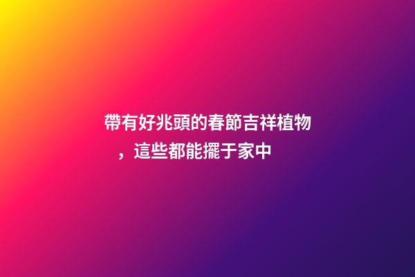 帶有好兆頭的春節吉祥植物，這些都能擺于家中